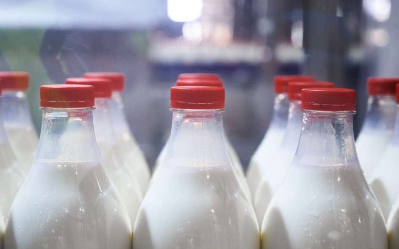 Conveyor Belt With Dairy Products Image